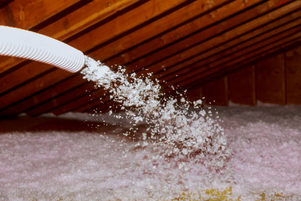 Best Insulation Repair Services  in Belmont, PA
