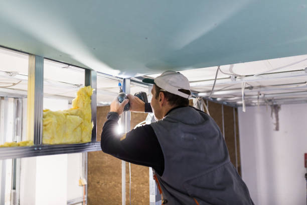 Attic Insulation Near Me in Belmont, PA