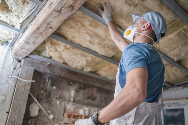 Best Attic Insulation Installation  in Belmont, PA